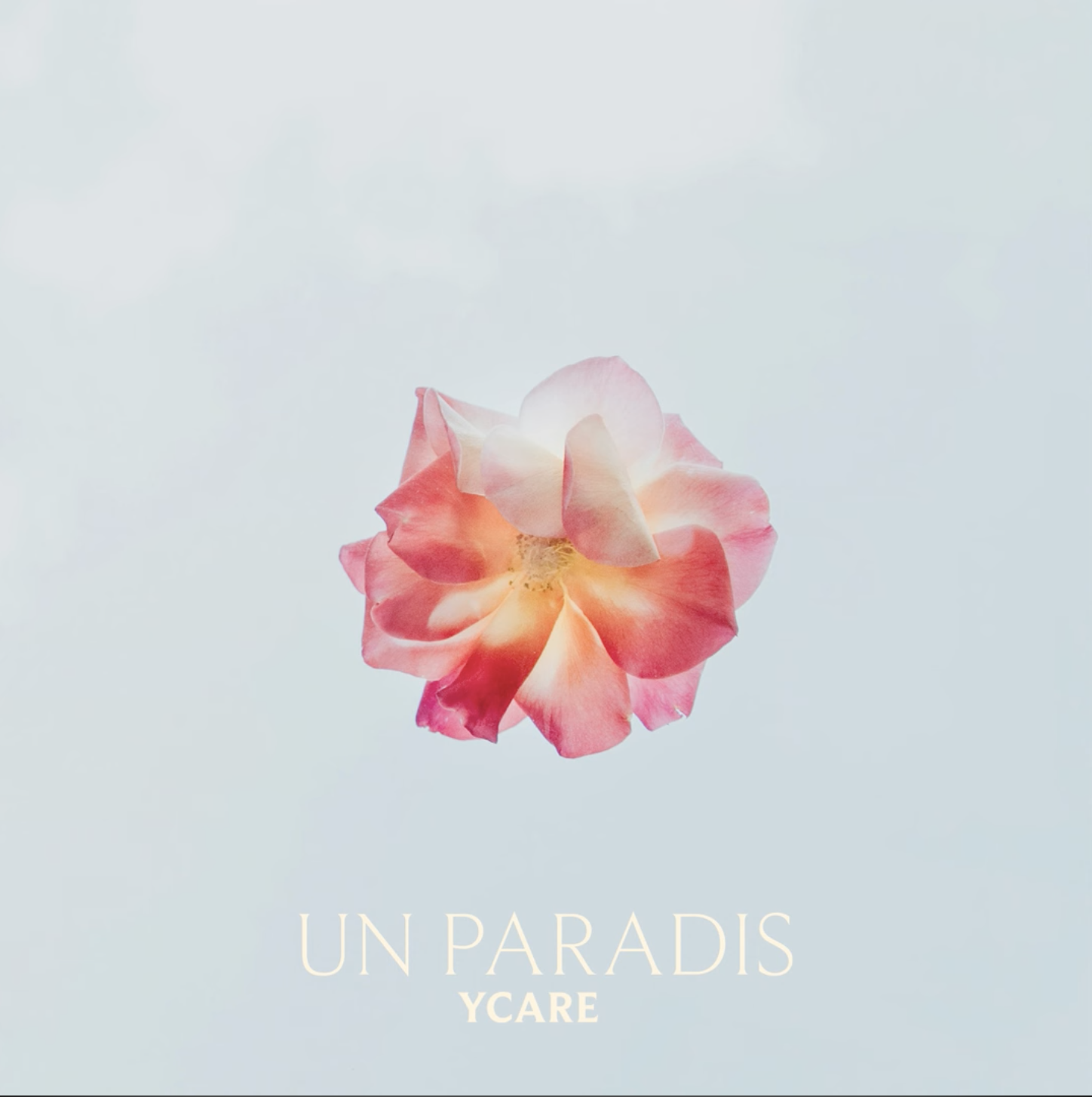Ycare