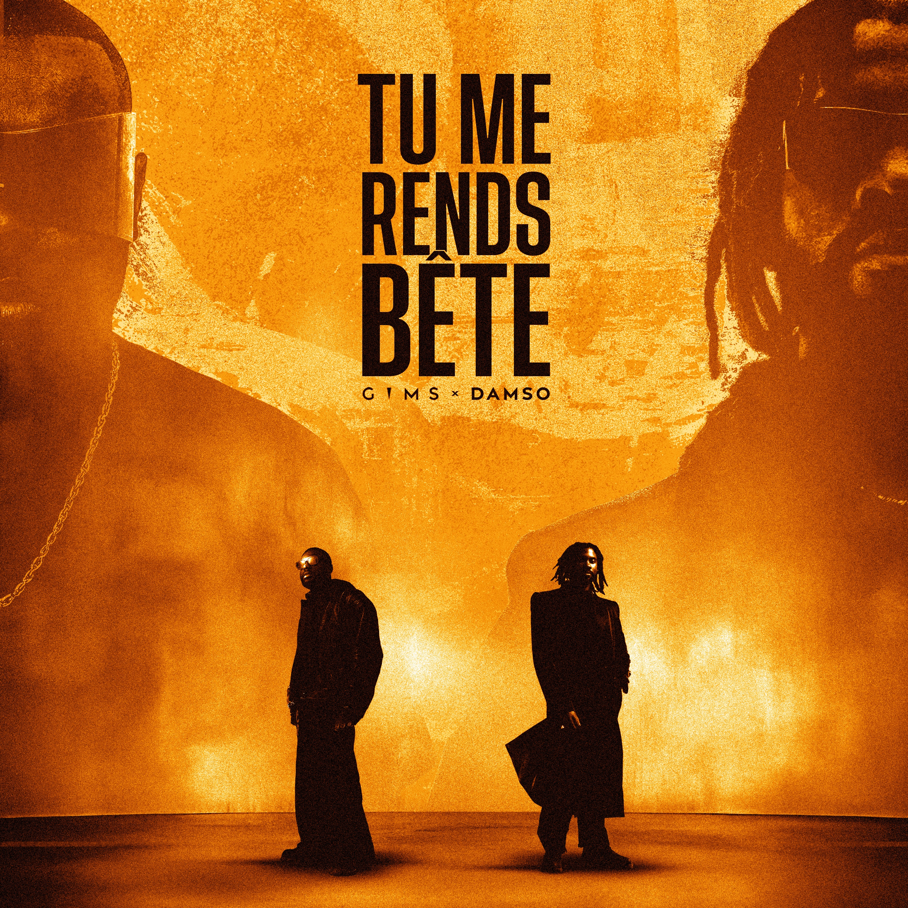 Tu me rends bête